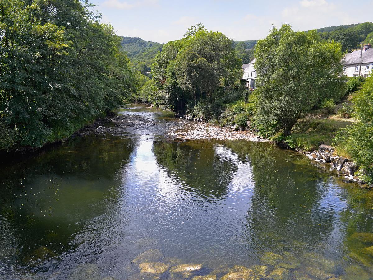 Вілла Maes-Yr-Adwy Abergorlech Екстер'єр фото